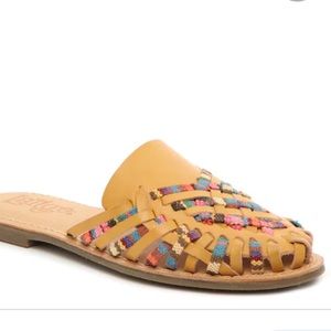 Latigo Hibiscus Mule